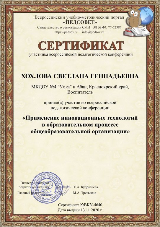 Сертификат Применение инновационных технологий.jpg