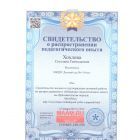 Международ свидетельство.jpg